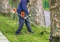 Man with worn bush cutter trims overgrown lawn round trees next to road