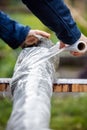 Man is wrapping a beech tree stub with clear film