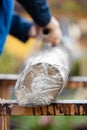 Man is wrapping a beech tree stub with clear film