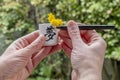 A man writes the word dream in Japanese on a white cup with yellow flowers inside Royalty Free Stock Photo