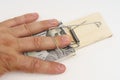 A man& x27;s hand fell into a mousetrap with dollar bills for bait. Royalty Free Stock Photo