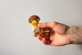 Man& x27;s hand holds edible polish mushroom with brown cap or pileus and thick stem on a white background. Autumnal