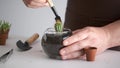 Man's hands embed a mini cactus in soil.