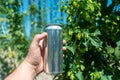 A man& x27;s hand holds a clean aluminum beer can without a logo on the background of a field of hops