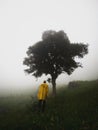 Man in yellow jacket standing at isolated idyllic lone tree on green grass hill cloud fog mist in Giron Ecuador andes