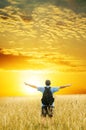 Man in yellow wheat meadow Royalty Free Stock Photo