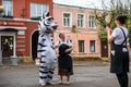 A man in a zebra costume on a city street embraces and takes photos with passers-by. Advertising on the street. Work in advertis