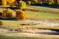 The manada on the autumn prairie Royalty Free Stock Photo