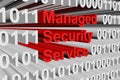 Managed security service