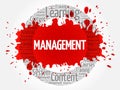 MANAGEMENT circle word cloud Royalty Free Stock Photo