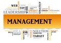 Management concept related words in tag cloud. Vector