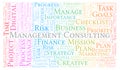Management Consulting word cloud, made with text only. Royalty Free Stock Photo