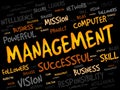 MANAGEMENT word cloud