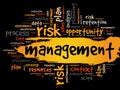 MANAGEMENT word cloud collage