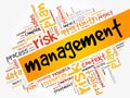 Management word cloud collage