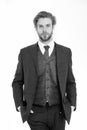 Manager with beard on serious face. Business and success. Fashion and beauty. Man in formal outfit isolated on white Royalty Free Stock Photo