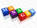 Manager in colour 2 Royalty Free Stock Photo