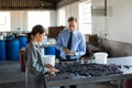 Manager instructing worker while checking a harvested olives Royalty Free Stock Photo