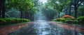 Managing Rainwater in Urban Landscapes: Incorporating Treelined Streets and Sustainable Sidewalk Royalty Free Stock Photo