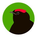 Manakin bird head vector illustration flat style profile