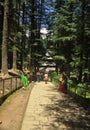 Beautiful view of Hidimba Devi Temple in between cedar trees