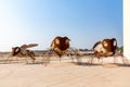 MANAMA, BAHRAIN - DECEMBER 19, 2018: sculptures of insects near Bahrain Fort Museum