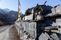 Mani Stones and Prayer Flags in Himalayas, Nepal Royalty Free Stock Photo