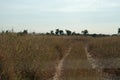 Mananga Trail near Satara rest camp in Kruger National Park, South Africa