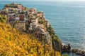 Manarola in CInque Terre