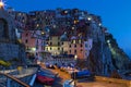 Manarola night