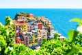 Manarola town, Cinque Terre national park, Italy Royalty Free Stock Photo