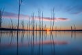 Manasquan Reservoir long exposure sunrise Royalty Free Stock Photo