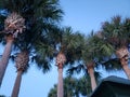 View of Manatee Sanctuary Park in the Evening, Cape Canaveral, Florida