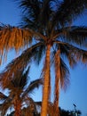 View of Manatee Sanctuary Park in the Evening, Cape Canaveral, Florida