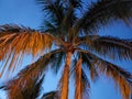 View of Manatee Sanctuary Park in the Evening, Cape Canaveral, Florida