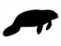 Manatee silhouette vector art white background