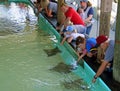 Tampa Electric`s Manatee Viewing Center