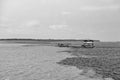 Manaus, Brazil - December 04, 2015: cargo ferry barge carrying cars at water meeting