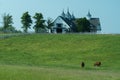 Horse bluegrass grazing at Manchester Farm in Lexington Kentucky