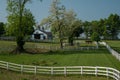 Horse bluegrass grazing at Manchester Farm in Lexington Kentucky Royalty Free Stock Photo