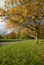 Manchester, Greater Manchester, UK, October 2013, Platt Fields Public Park, Fallowfield Royalty Free Stock Photo