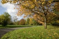Manchester, Greater Manchester, UK, October 2013, Platt Fields Public Park, Fallowfield Royalty Free Stock Photo