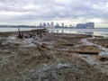 Mandai mudflats in northern Singapore Royalty Free Stock Photo