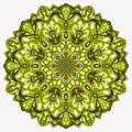 Olive Mandala ornate pattern background original, detailed, elegant hand drawn Royalty Free Stock Photo