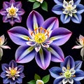 Mandala circle life columbine flower nature petal beauty