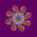 MANDALA DAISY RED. PLAIN PURPLE BACKGROUND. CENTRAL FLOWER IN RED, BLUE, BLACK, GREEN AND PINK.