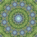 Mandala circular abstract pattern colorful floral kaleidoscopic image background