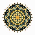 Mandala. colored Vintage decorative elements.