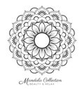 Mandala decorative ornament design