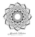 Mandala design